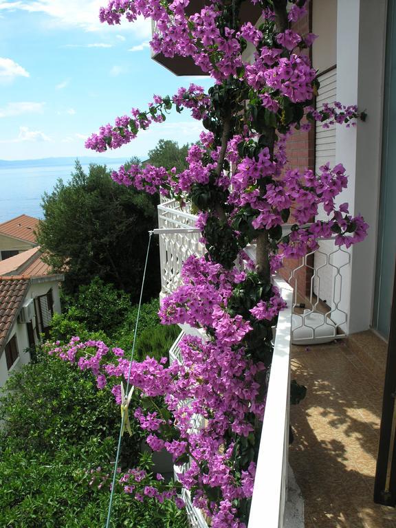 Apartments Dobrila Podgora Exterior photo